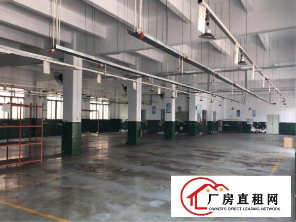
清溪大利标准厂房一楼1600平方带水电办公室急租