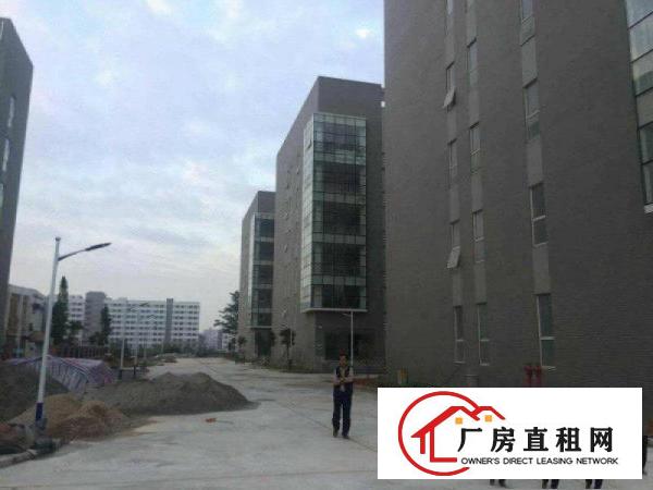 
仓库大型60000平原房东直租自带卸货平台物流仓