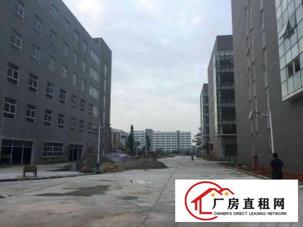 
仓库大型60000平原房东直租自带卸货平台物流仓