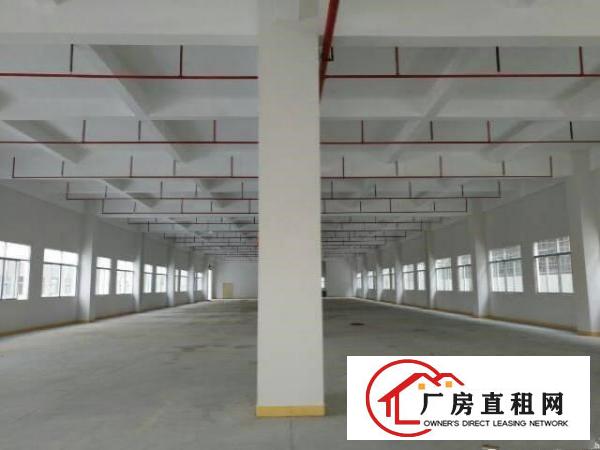 
清溪镇三中工业区独栋厂房18240平双证齐全