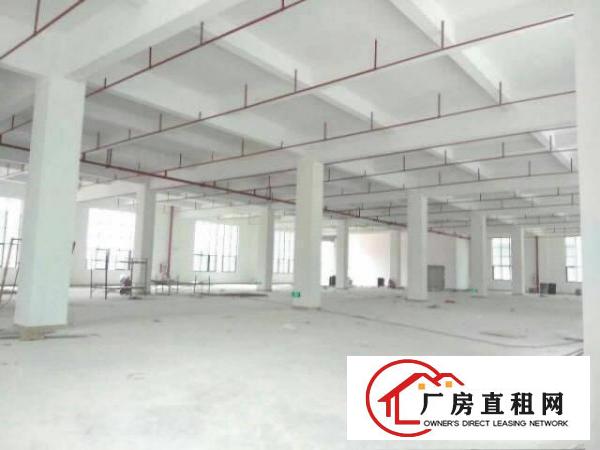 
清溪镇三中工业区独栋厂房18240平双证齐全