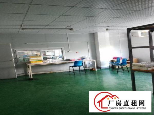 
清溪土桥新出标准二楼1000平方刷好地坪漆超大空地