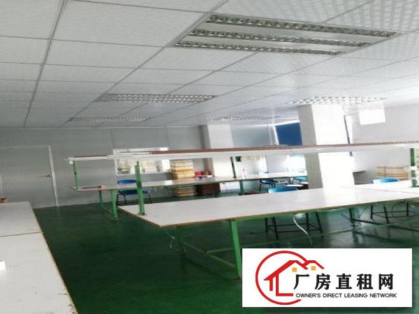 
清溪土桥新出标准二楼1000平方刷好地坪漆超大空地