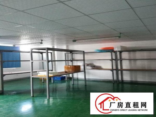 
清溪土桥新出标准二楼1000平方刷好地坪漆超大空地