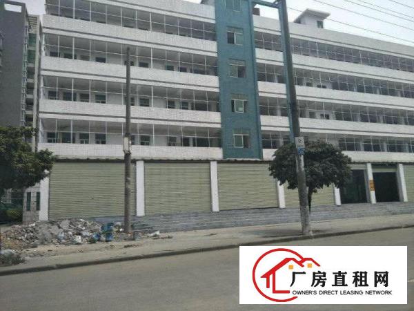 
清溪上元工业园区厂房标准二楼2600平方出租可分租