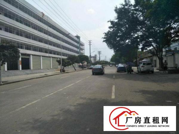
清溪上元工业园区厂房标准二楼2600平方出租可分租