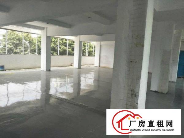 
清溪上元工业园区厂房标准二楼2600平方出租可分租
