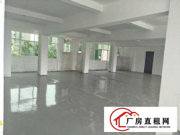 
清溪上元工业园区厂房标准二楼2600平方出租可分租