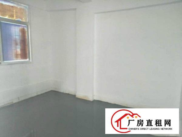 
清溪上元工业园区厂房标准二楼2600平方出租可分租