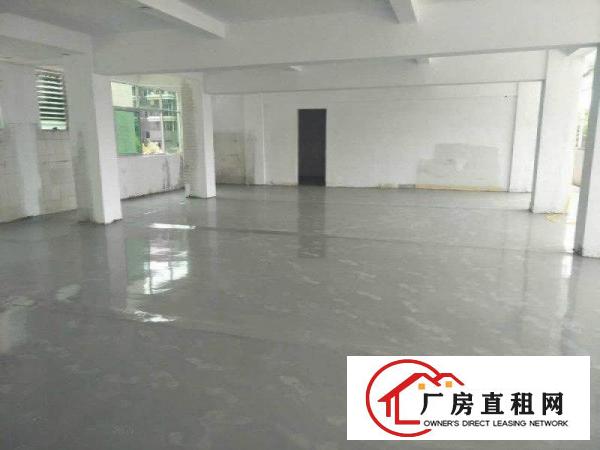 
清溪上元工业园区厂房标准二楼2600平方出租可分租