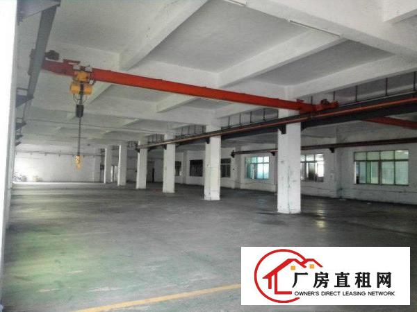 
（新盘）清溪三中标准一楼1500平方带行车免费使用