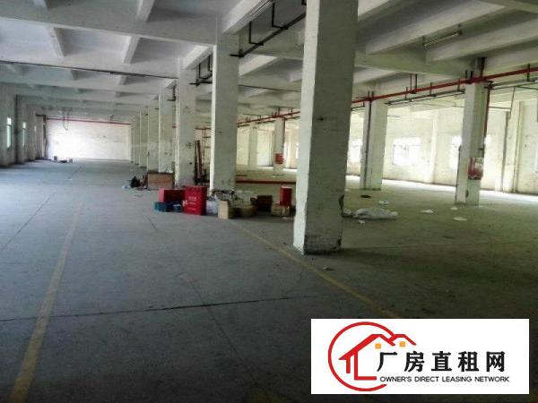 
（新盘）清溪三中标准一楼1500平方带行车免费使用