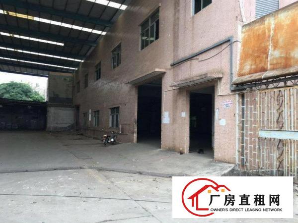
清溪三星新出一楼350平方，主线到车间，空地大