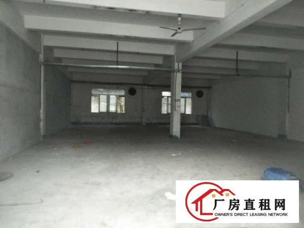 
清溪三星新出一楼350平方，主线到车间，空地大