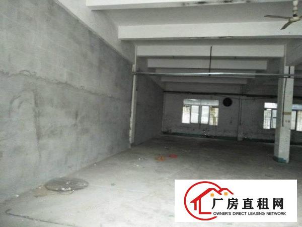 
清溪三星新出一楼350平方，主线到车间，空地大