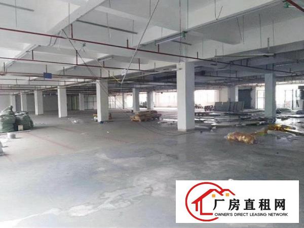 
清溪从莞高速附近新出楼上带豪华装修3500平