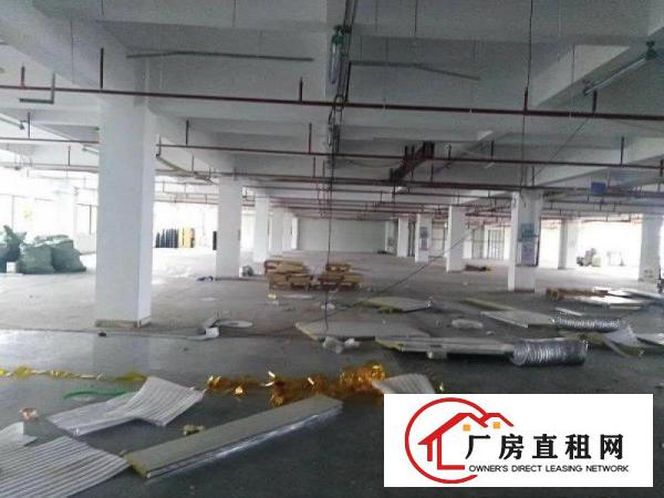 
清溪从莞高速附近新出楼上带豪华装修3500平