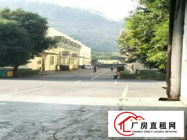 
清溪三中高速路口电商物流仓库出租4平方有卸货平台
