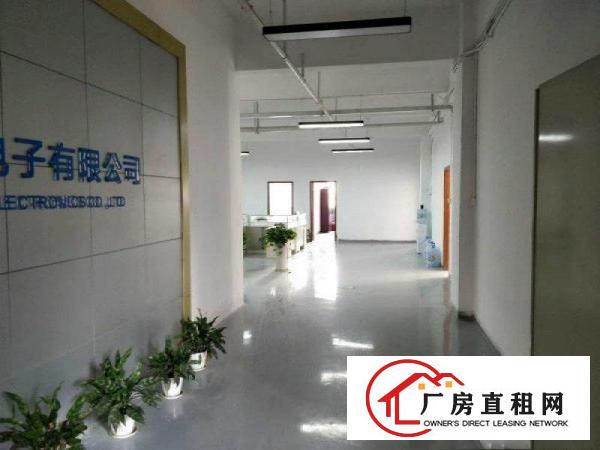 
清溪三中楼上带豪华装修厂房出租1600平方米