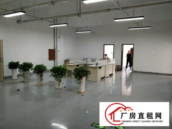 
清溪三中楼上带豪华装修厂房出租1600平方米