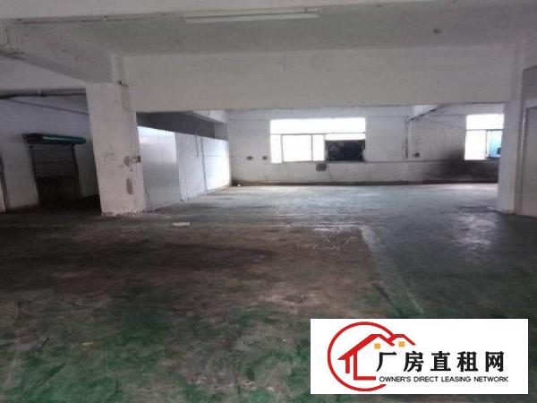 
清溪镇铁松刷绿色地坪漆厂房出生650平带办公室
