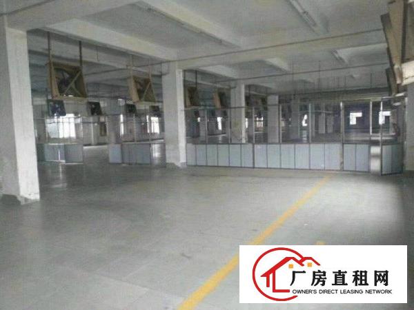
清溪镇近凤岗大型花园式独院厂房出租5万平方