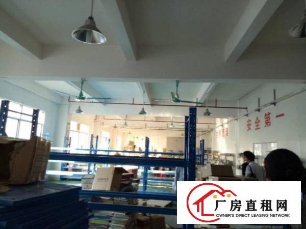 
清溪镇谢坑小面积厂房出租600平五金电子手袋