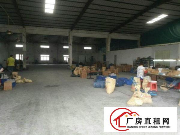 
清溪松岗新出钢构独院厂房600平滴水8米超大空地