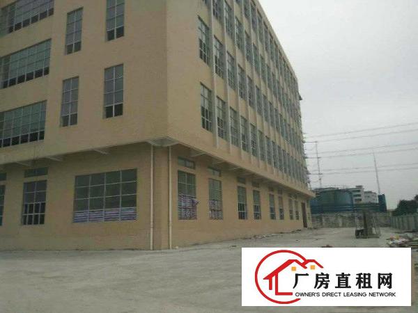 
清溪铁松全新独院厂房4850平方高度6.5米超大电