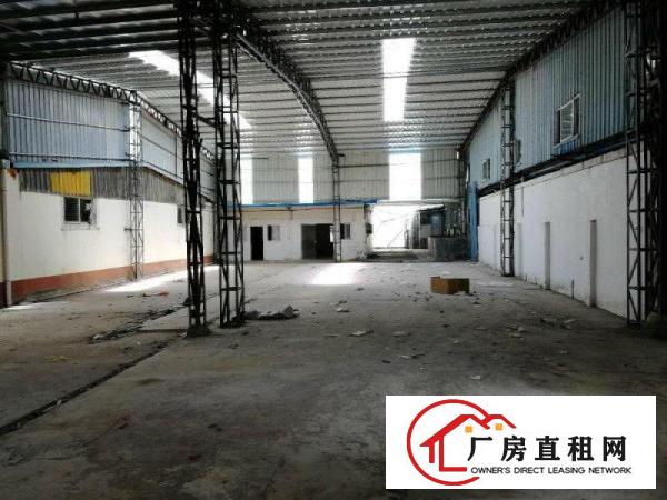 
清溪铁松新出单一层钢构厂房650平超大空地