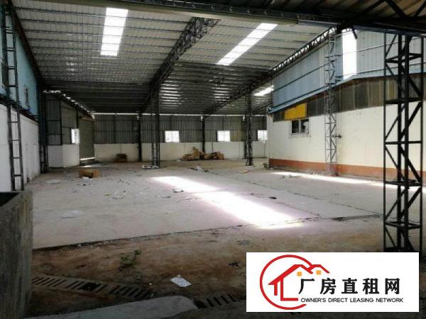 
清溪铁松新出单一层钢构厂房650平超大空地