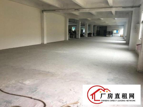 
清溪土桥新出独院厂房5400平一楼高5米精装修