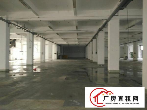 
（靓盘急租）清溪镇新出一楼厂房2100出租空地大