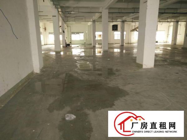 
（靓盘急租）清溪镇新出一楼厂房2100出租空地大