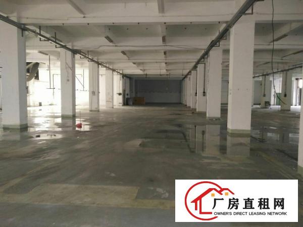 
（靓盘急租）清溪镇新出一楼厂房2100出租空地大