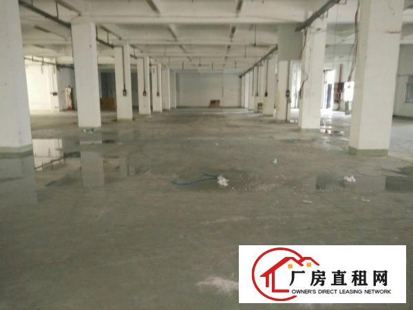 
（靓盘急租）清溪镇新出一楼厂房2100出租空地大
