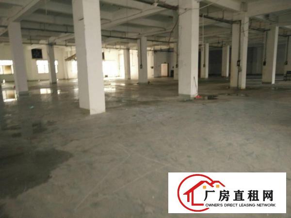 
（靓盘急租）清溪镇新出一楼厂房2100出租空地大