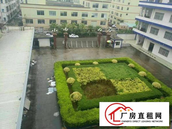 
（新盘）清溪镇花园式独院厂房50000出租可分租