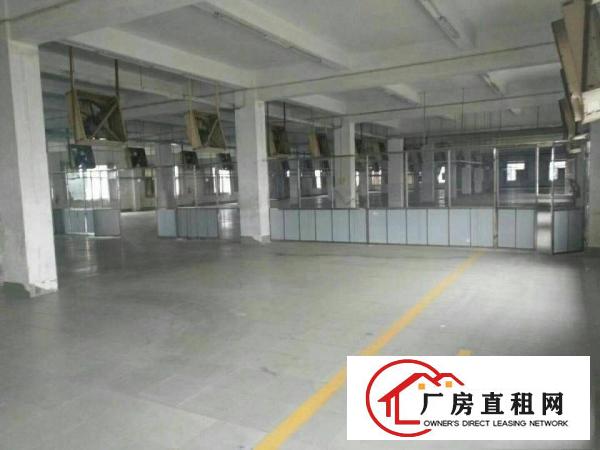 
（新盘）清溪镇花园式独院厂房50000出租可分租