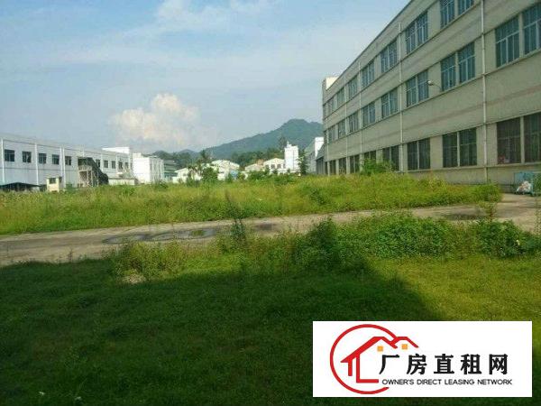 
林场靠高速路600米新出一楼厂房1100平米出租