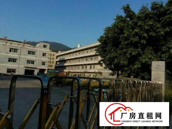
林场靠高速路600米新出一楼厂房1100平米出租