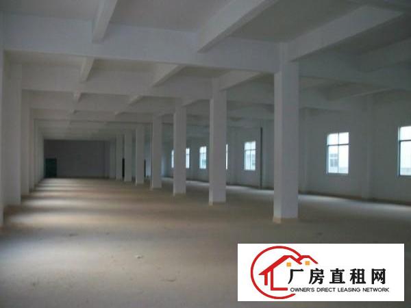 
单一层钢构厂房，宿舍，办公室总面积3000平方米
