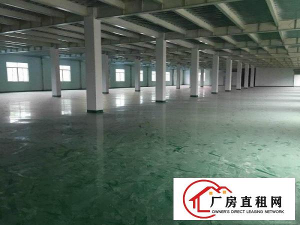 
清溪临近凤岗新出全新独院3900平方，可分租