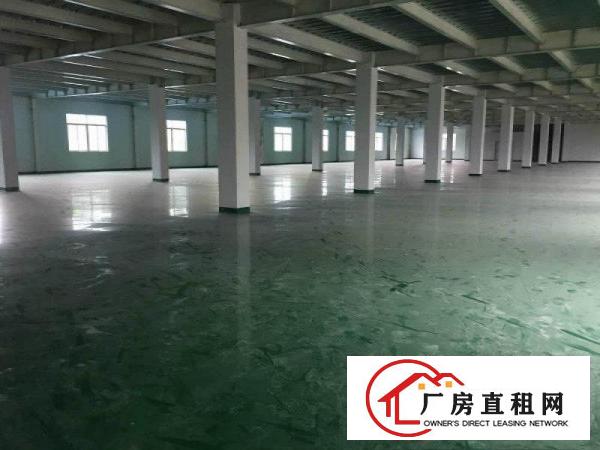 
清溪临近凤岗新出全新独院3900平方，可分租