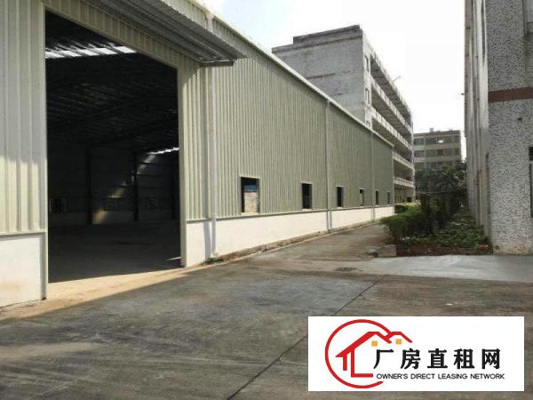 
清溪三星8米高钢架厂房1500平方出租，主线到车间