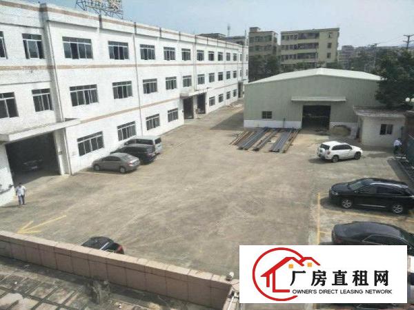 
清溪三星8米高钢架厂房1500平方出租，主线到车间