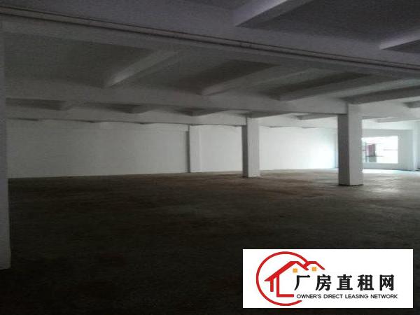 
原房东直租，浮岗标准一楼500平方，现成办公室水电