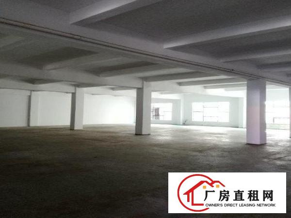 
原房东直租，浮岗标准一楼500平方，现成办公室水电