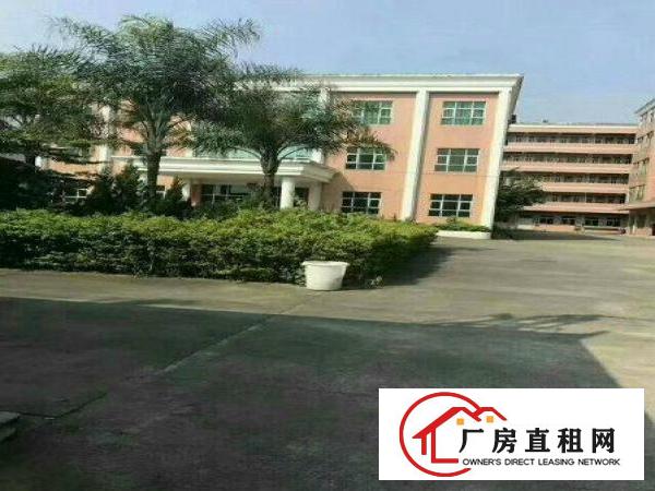 
清溪三中标准二楼500平方，精装修刷好地坪漆超靓