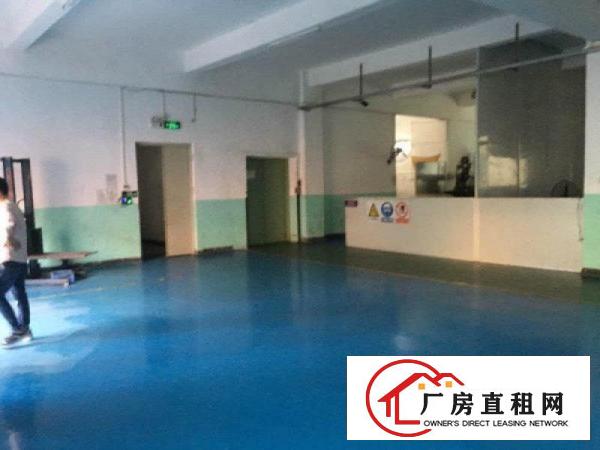 
清溪三中标准二楼500平方，精装修刷好地坪漆超靓